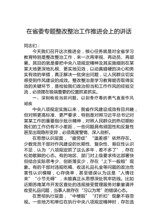 在省委专题整改整治工作推进会上的讲话