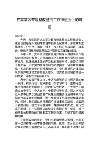 在某某区专题整改整治工作推进会上的讲话