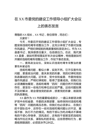在XX市委党的建设工作领导小组扩大会议上的表态发言