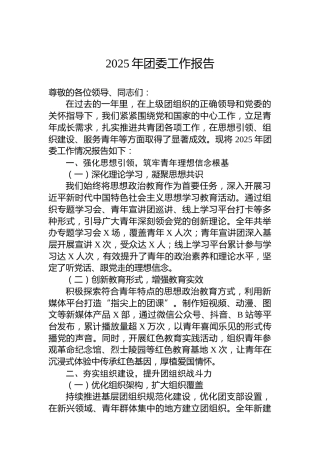 2025年团委工作报告