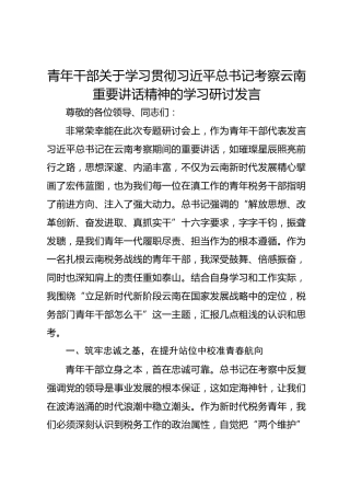 青年干部关于学习贯彻习近平总书记考察云南重要讲话精神的学习研讨发言