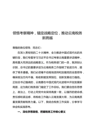 发言：领悟考察精神，锚定战略定位，推动云南税务新跨越