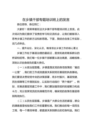 在乡镇干部专题培训班上的发言