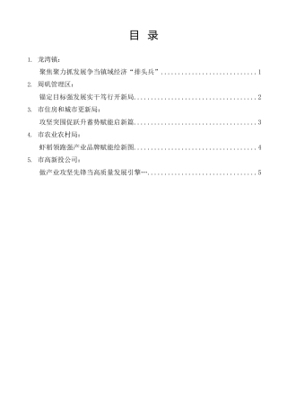 经验交流系列第1460期（5篇）潜江市委经济工作会议发言材料汇编