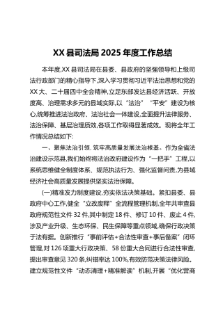 XX县司法局2025年度工作总结
