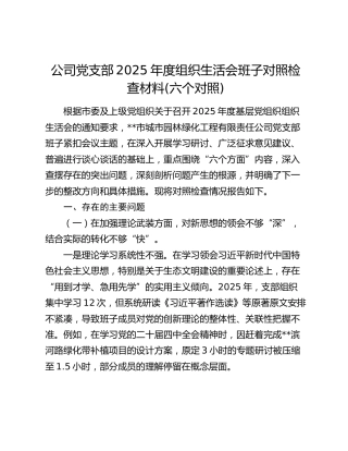 公司党支部2025年度组织生活会班子对照检查材料(六个对照)