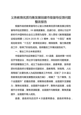 市义务教育优质均衡发展创建市级督导反馈问题整改报告