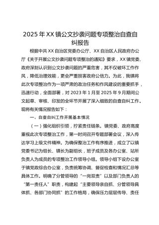 2025年XX镇公文抄袭问题专项整治自查自纠报告