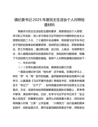 镇纪委书记2025年度民主生活会个人对照检查材料（五个带头）