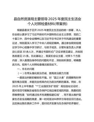 县自然资源局主要领导2025年度民主生活会个人对照检查材料(带案例)