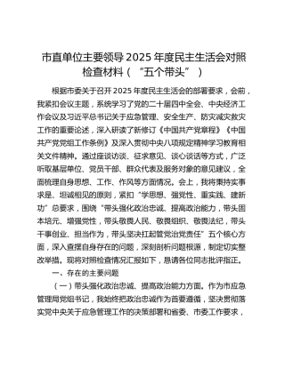 市直单位主要领导2025年度民主生活会对照检查材料（“五个带头”）