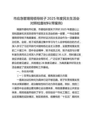 市应急管理局领导班子2025年度民主生活会对照检查材料(带案例)