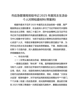 市应急管理局党组书记2025年度民主生活会个人对照检查材料(带案例)