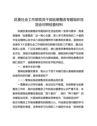 区委社会工作部党员干部巡察整改专题组织生活会对照检查材料