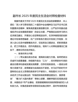 副市长2025年度民主生活会对照检查材料（五个带头）