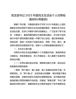 党支部书记2025年度民主生活会个人对照检查材料(带案例)