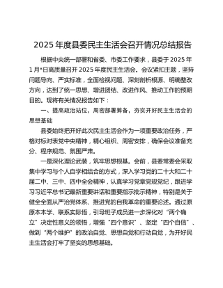 2025年度县委民主生活会召开情况总结报告