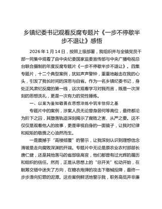 乡镇纪委书记观看反腐专题片《一步不停歇半步不退让》感悟
