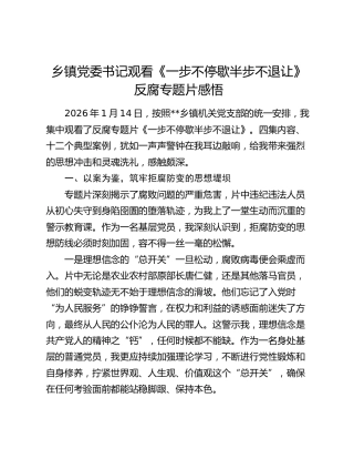乡镇党委书记观看《一步不停歇半步不退让》反腐专题片感悟