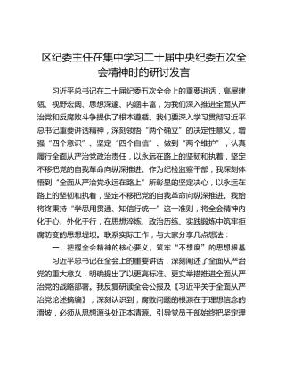 区纪委主任在集中学习二十届中央纪委五次全会精神时的研讨发言