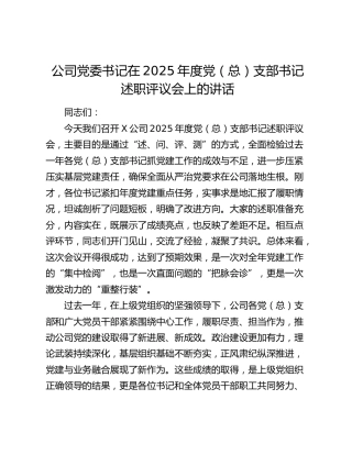 公司党委书记在2025年度党（总）支部书记述职评议会上的讲话