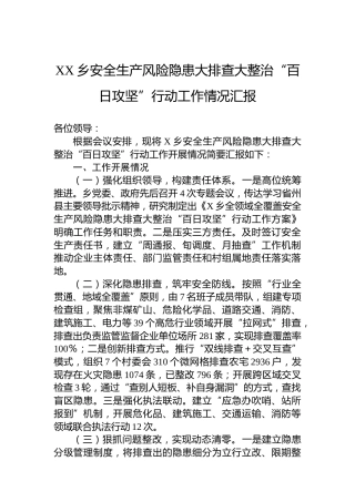 XX乡安全生产风险隐患大排查大整治“百日攻坚”行动工作情况汇报