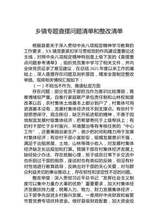乡镇专题查摆问题清单和整改清单