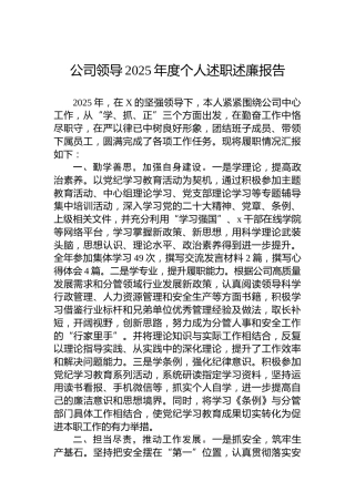 公司领导2025年度个人述职述廉报告