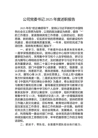 公司党委书记2025年度述职报告