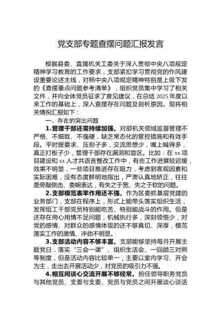 党支部专题查摆问题汇报发言