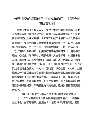 组织部领导班子2025年度民主生活会对照检查2（含上年度问题整改）