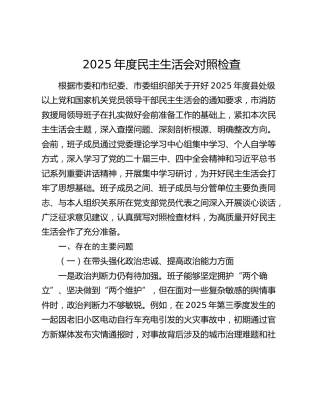 消防系统领导班子2025年度民主生活会对照检查(含反面典型案例剖析)