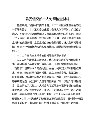 县委组织部部长2025年度民主生活会个人对照检查2（含上年度问题整改和典型案例剖析）