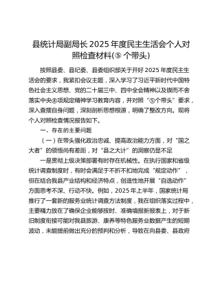 县统计局副局长2025年度民主生活会个人对照检查