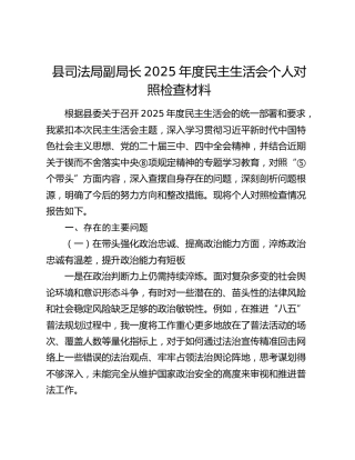 县司法局副局长2025年度民主生活会个人对照检查