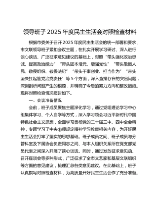 文联领导班子2025年度民主生活会对照检查