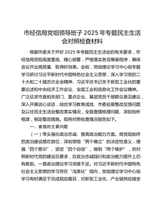 市经信局领导班子2025年专题民主生活会对照检查（工信）