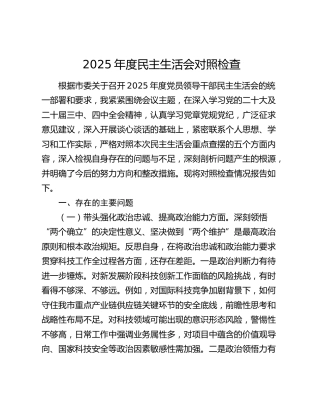 科技局党组书记2025年度民主生活会对照检查