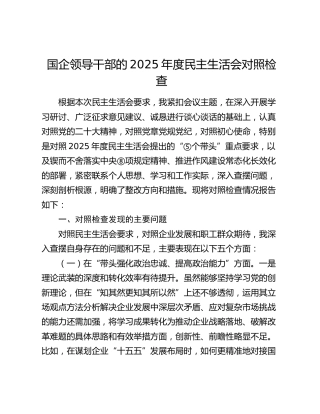 国企公司2025年度民主生活会个人对照检查材料