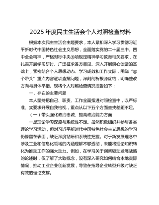 工信系统2025年度民主生活会个人对照检查材料