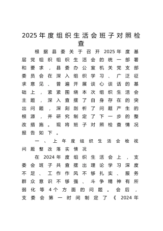 2025年度组织生活会班子对照检查5800字（含上年度整改情况、改作风树新风）