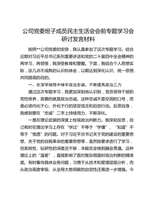 公司民主生活会会前专题学习会研讨发言材料