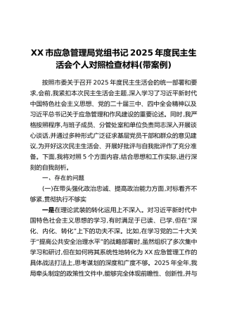 XX市应急管理局党组书记2025年度民主生活会个人对照检查材料（带案例）