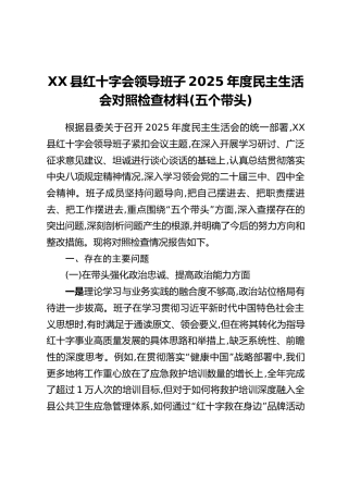 XX县红十字会领导班子2025年度民主生活会对照检查材料(五个带头)