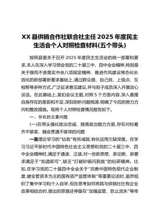 XX县供销合作社联合社主任2025年度民主生活会个人对照检查材料(五个带头)