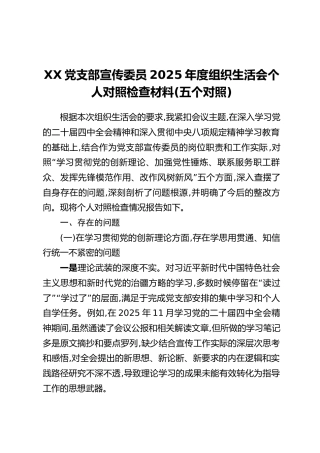 XX党支部宣传委员2025年度组织生活会个人对照检查材料（五个对照）