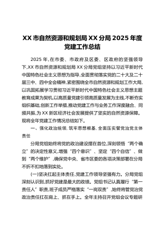 XX市自然资源和规划局XX分局2025年度党建工作总结