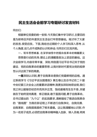民主生活会会前学习专题研讨发言材料