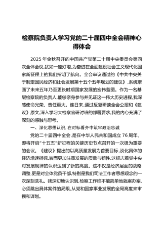 检察院负责人学习党的二十届四中全会精神心得体会