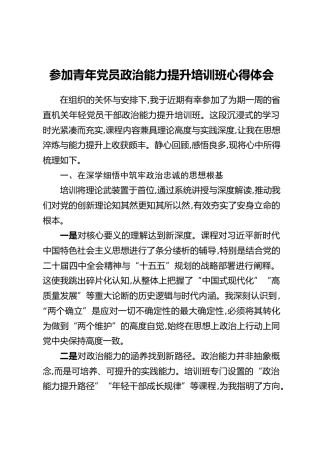 参加青年党员政治能力提升培训班心得体会